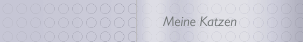 Meine Katzen